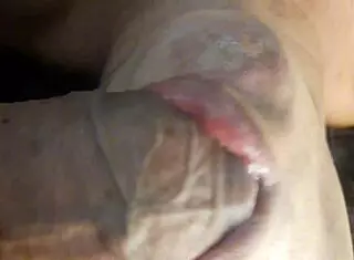 She sucked the head of my cock and my hairy balls a lot