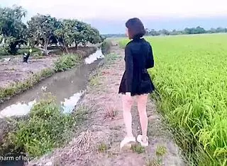 young couples banging openly in the middle of rice field