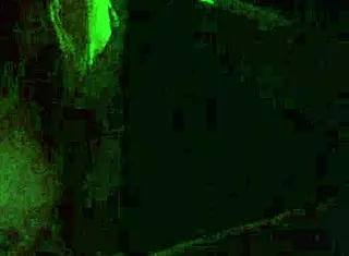 Artemisia Love Night Car Ride Flashing Big Tits Nipples Play Smoking Fetish