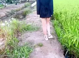 young couples banging openly in the middle of rice field