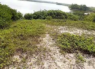 Wanna see outdoor sex with deep blowjob and super hot banging on the beach?