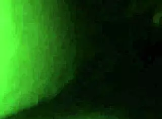 Sucking a Massive BBC in a Wild, Intense Session