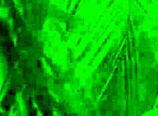 Petite Asian Model Putri Cinta Shows Tanned Big Boobs And Ass